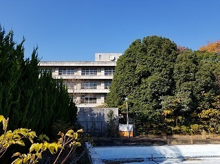 20171128_131239.jpg