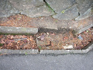 観音山公園溝修正前3.jpg